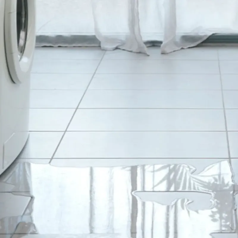 Appliance Leak Cleanup in Johnson County, AR
