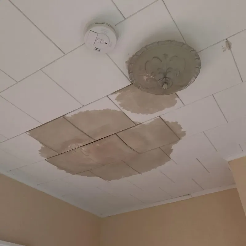 Ceiling Water Damage Repair in Johnson County, AR