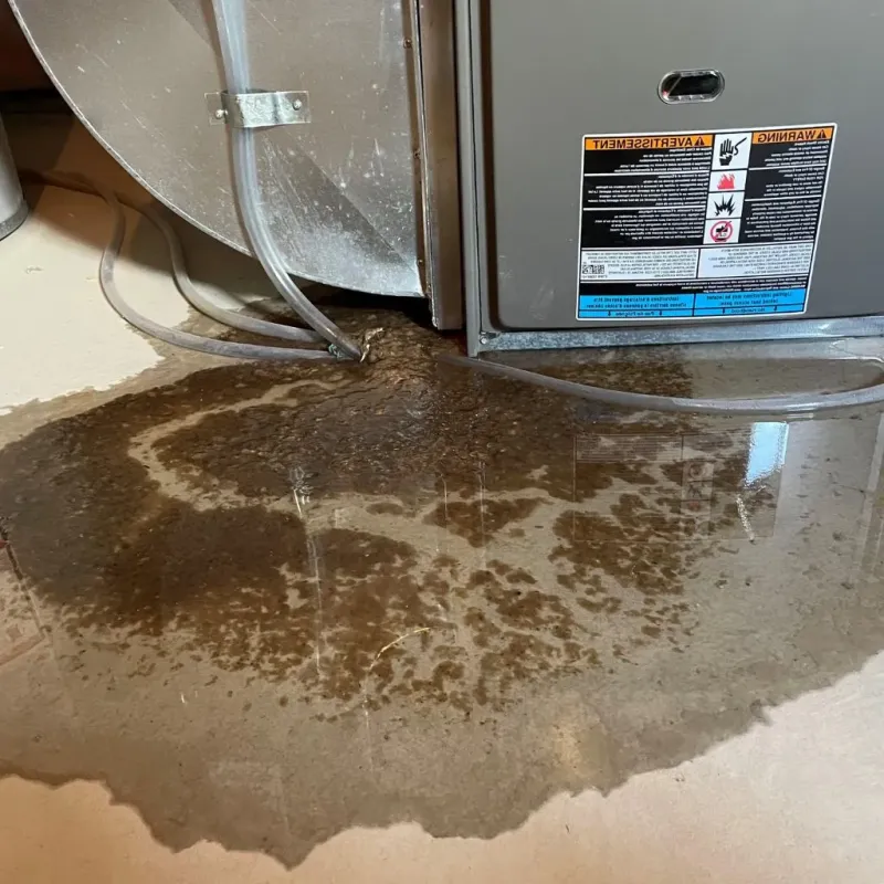Pipe Burst and Leak Restoration in Johnson County, AR