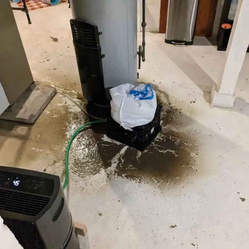 Sewage Backup Cleanup Service in Johnson County, AR
